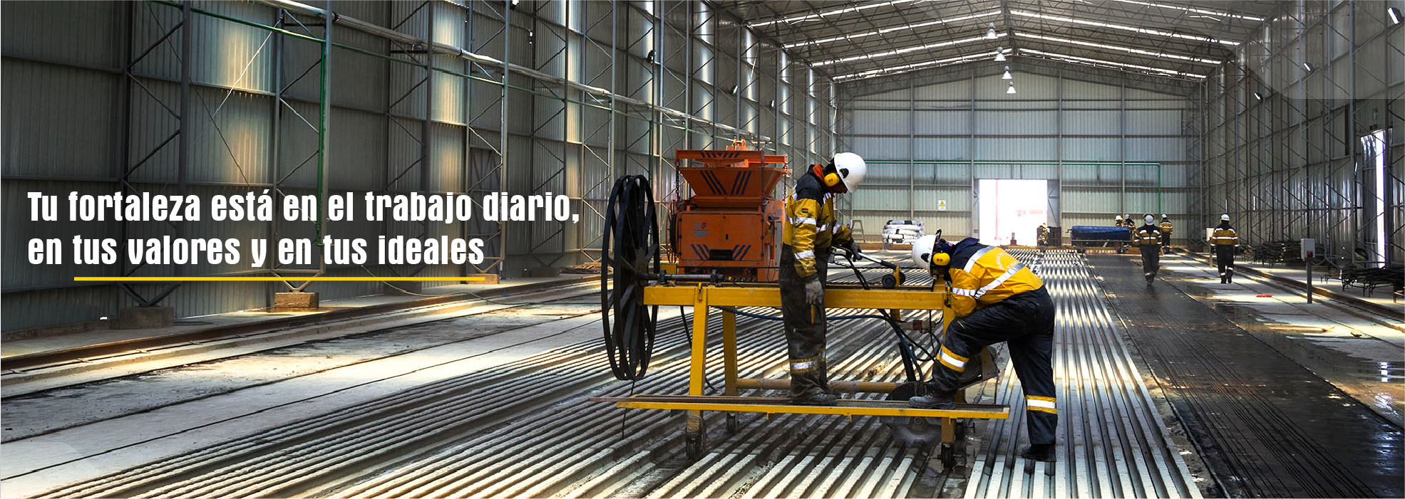 anuncio 5